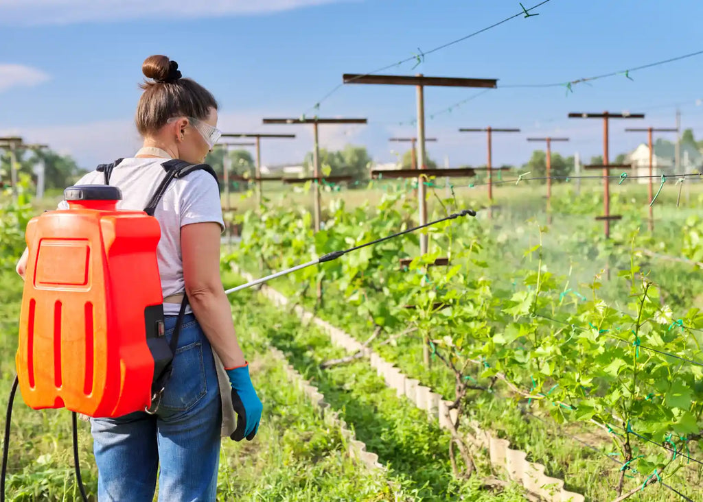 Fungicidas sistémicos para viña: qué son y cuándo conviene usarlos