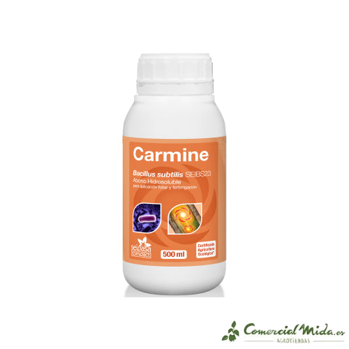 SEIPASA COMPACT Carmine 500ml