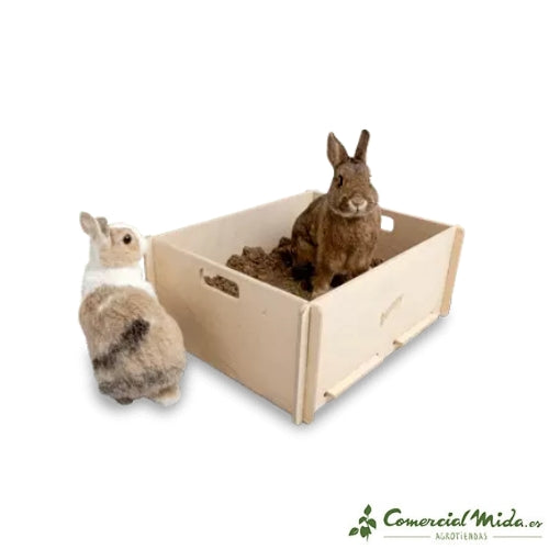 Bunny Caja para Excavar Interactive Digging Box