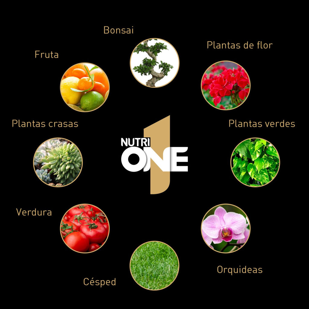 nutriONE Granulado beneficios Plantas