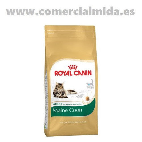 Pienso ROYAL CANIN MAINE COON para gatos Maine Coon adultos