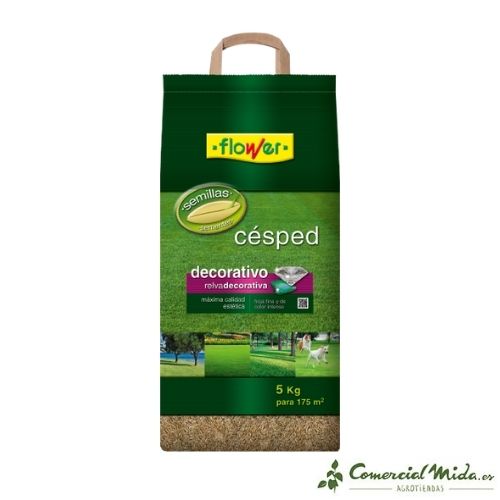 Semillas césped decorativo (5Kg)