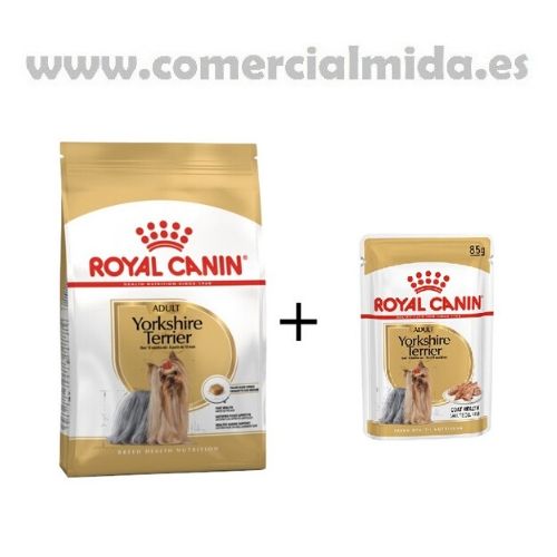 ROYAL CANIN YORKSHIRE Adulto Saco de 500gr + 12x85gr