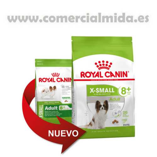 Royal Canin XSmall Adult 8+ para perros de razas pequeñas ancianos