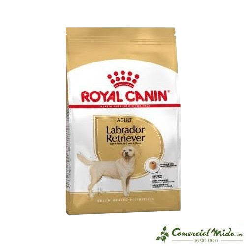 ROYAL CANIN LABRADOR RETRIEVER ADULT