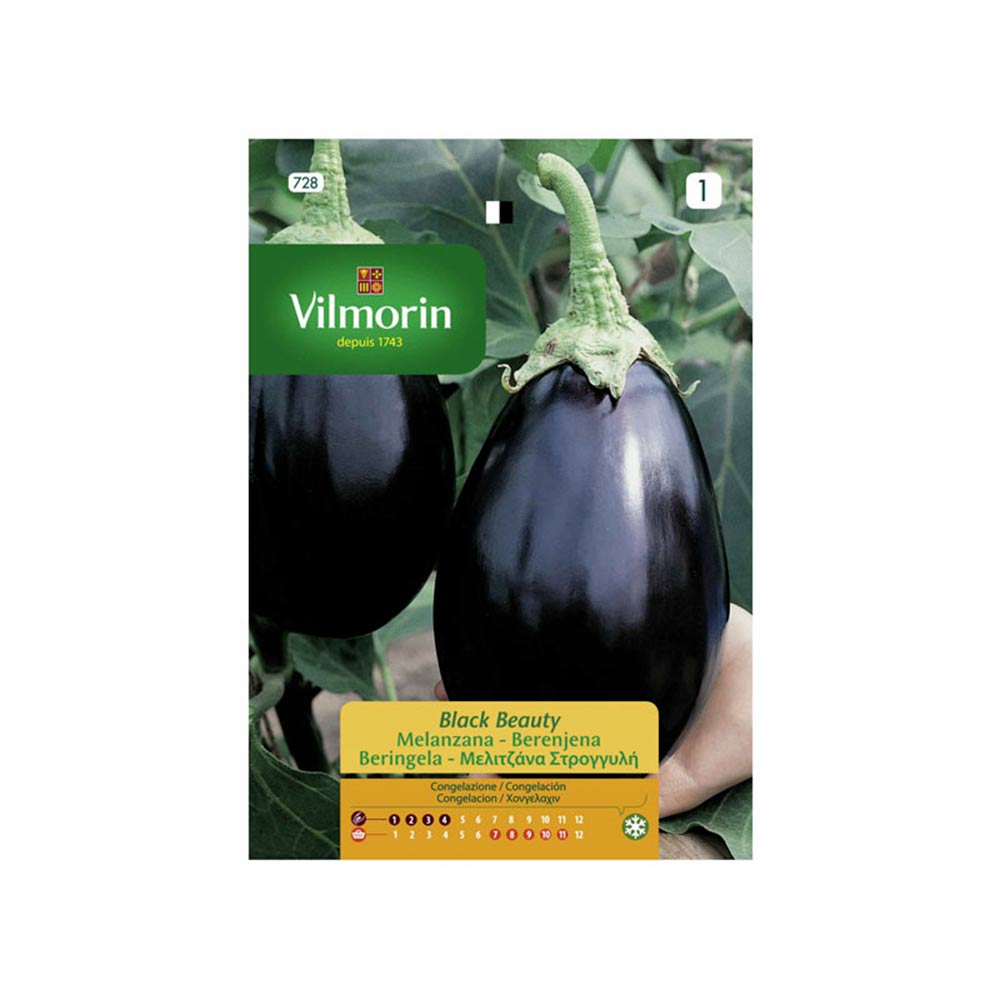 Semillas de berenjena Black Beauty Vilmorin 3gr