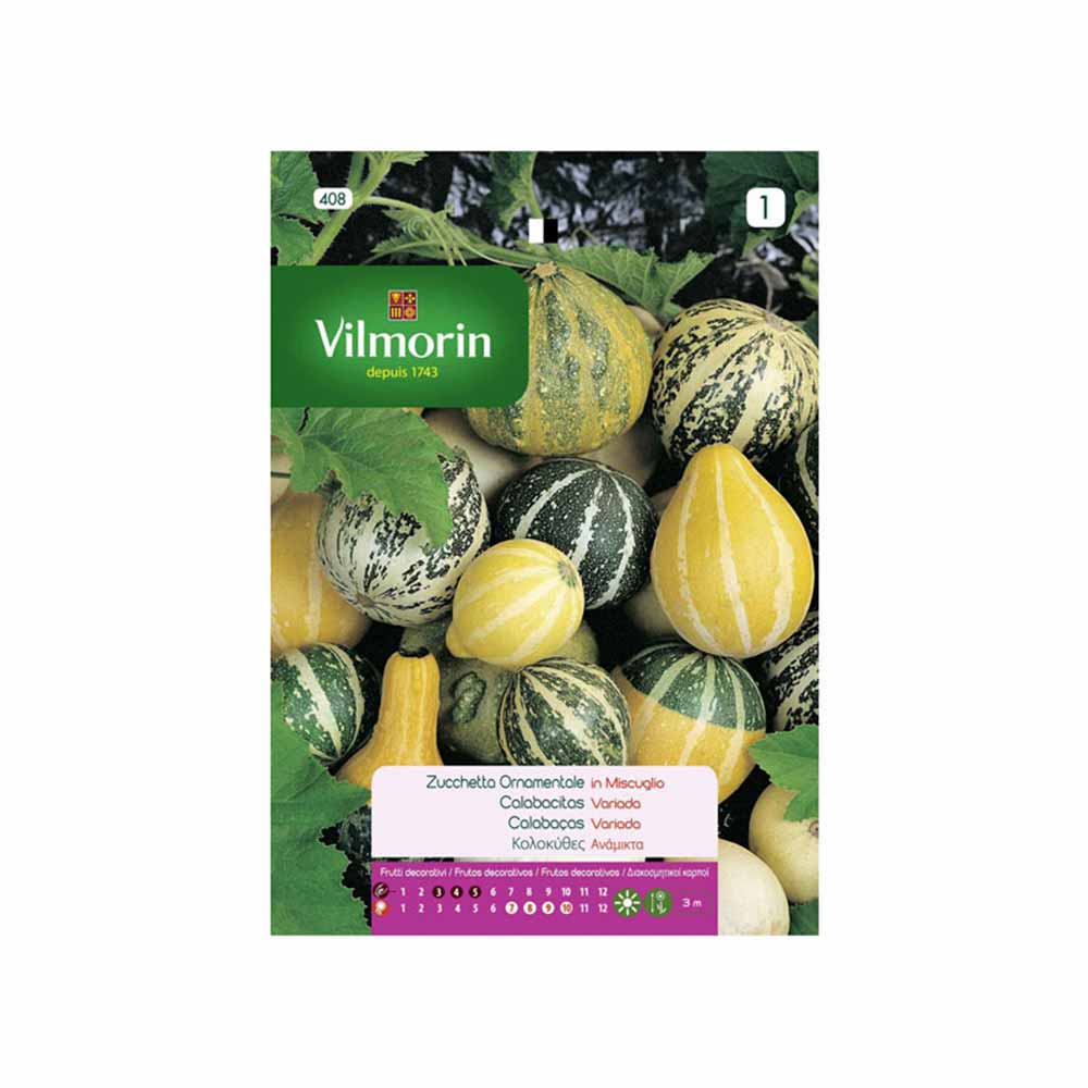 Semillas de calabacitas variadas Vilmorin 3gr