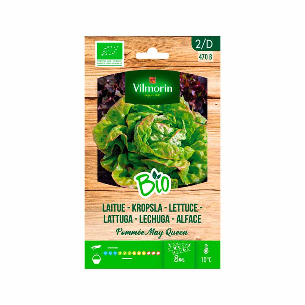 VILMORIN BIO Semillas de Lechuga MAY QUEEN